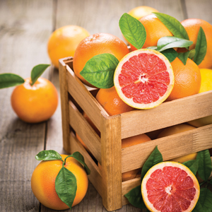 Exploring the Nuances of Citrus for Wellness