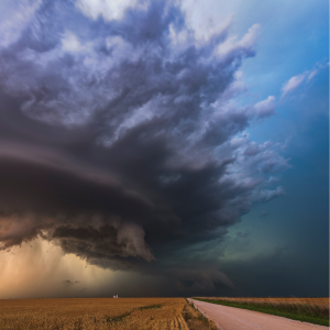 Skin vs. Climate Chaos: Building Resilience in Real Time